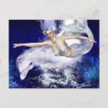 Mermaid with Dolphin Postcard